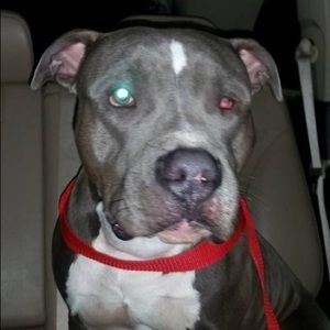 Meet your Posher, Francesca